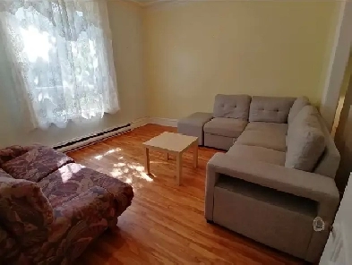 Appartement 5 1/2 à louer janvier 2026, Plateau Mont-Royal Image# 1