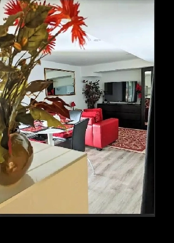 Fully Furnished Private Apartment in North York Image# 1