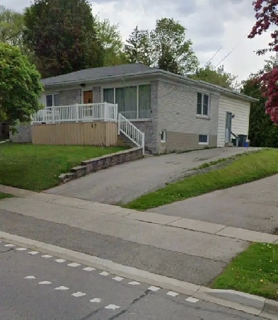 3 Bedroom with Extension Bungalow in Newmarket for rent Image# 1