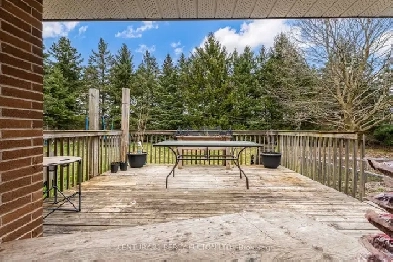 3 Rooms for rent Image# 1