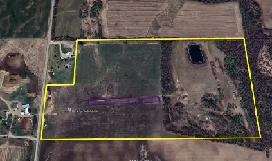 75 acres of beautiful land Image# 1