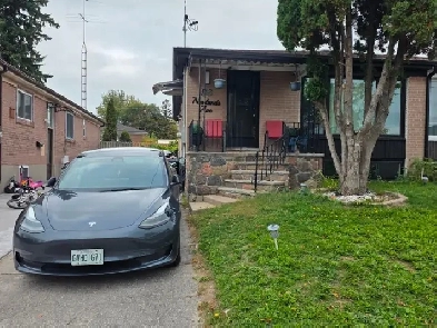 Upper Level of house for rent. Spacious 3 bedrooms and 1 washroo Image# 1