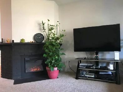 15 days free,$200 Off, 2 Bed, 1.5 Bath, water & heat free $1630 Image# 1