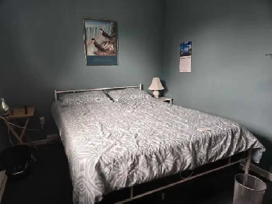 Sunny room for rent Image# 1