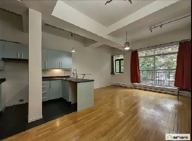Charmant condo au coeur d'Hochelaga-Maisonneuve Image# 8