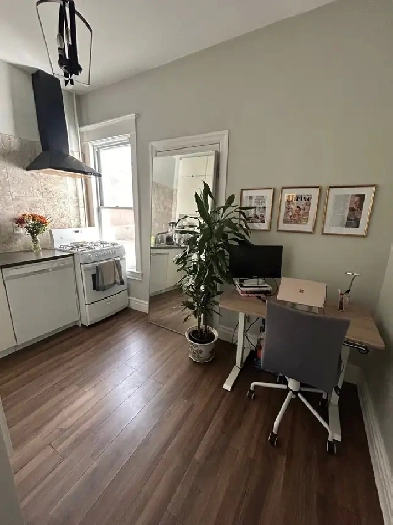 One Bedroom Apartment for Rent in Downtown Toronto from Dec. 1st Image# 1