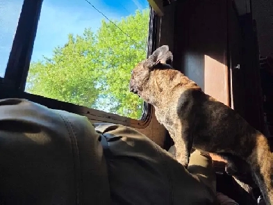 housing options Image# 1