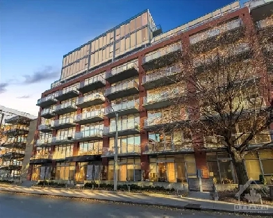 1 Bedroom plus den, 1 full bath condo apartment for rent Image# 1