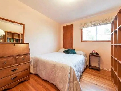 Spacious Room, Walking Distance to U of A, Whyte Ave, 109 street Image# 1