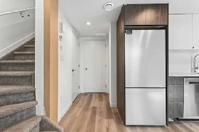 New Basement Suit Available Image# 1