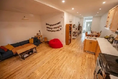 Très grand 3 1/2  1 entièrement neuf dans Rosemont Image# 1