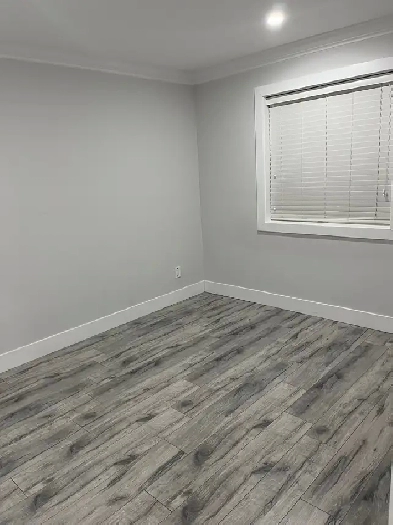 1 bedroom basement for rent in Surrey Image# 1