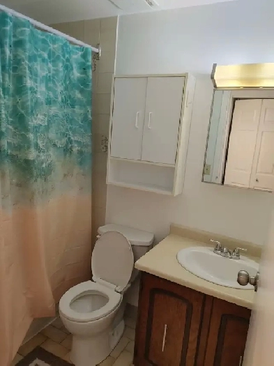 1 Bedroom/1 Bathroom-723 Tecumseh Road East, Windsor Image# 1