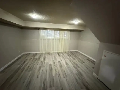 Bright 2 Bedroom Basement Suite Next to Mill Creek Ravine Image# 1