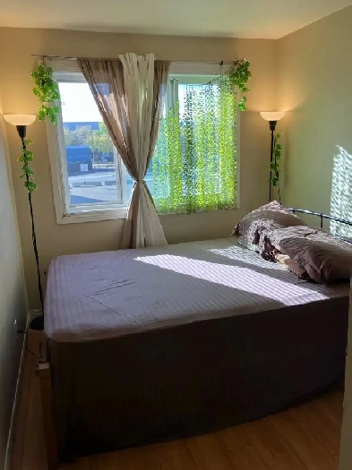 Private room for rent Image# 1