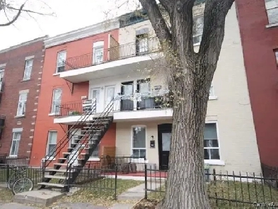 SUPERBE 5 ET DEMI A LOUER Image# 1