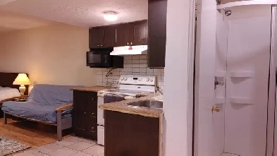 Furnished ALL INCLUDED studio ( cote-vertu metro)- renovated Image# 1