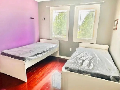 Girls Furnished Room - Brampton Image# 1
