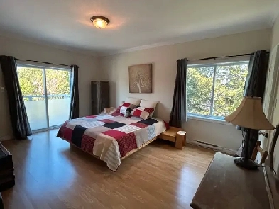 Appartement Logement 5 1/2 Saint-Hyacinthe Image# 7