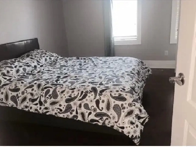 Aurora /Mulock Newmarket Private Room Rent Image# 1