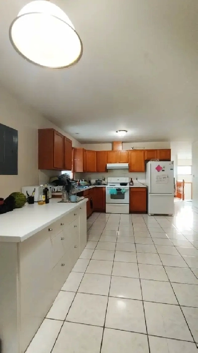 Private Room in a Female Student Home Image# 1