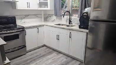 2 bedrooms walkout basement is available onndec 1st Image# 1