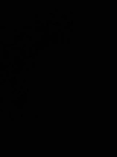 Grandes chambres à louer près de l'Hôpital Maisonneuve-Rosemont Image# 1