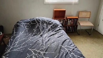 South Porcupine:Large furnished room, WiFi, Laundry, TV, Privacy Image# 2