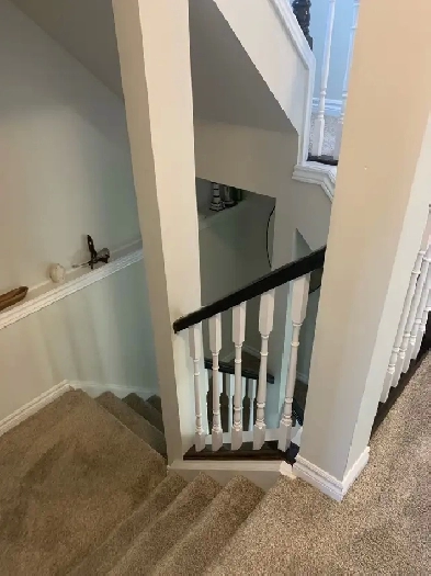 Luxury Furnished Room for Rent Image# 1