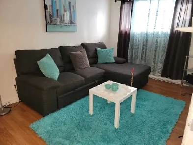 logement 2 CAC ferméea ville St Laurent Image# 1