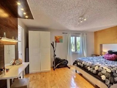 Rooms N private washroom N full Basement with separate entrance Image# 1