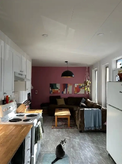 Cession de bail - Grand 4 1/2 - Villeray Image# 1