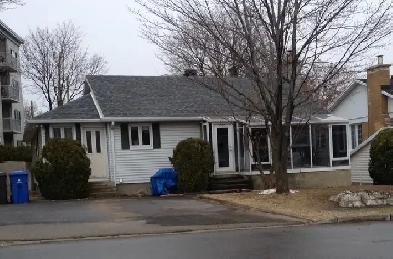 Chambre à louer Près de Place Laurier minimum 3 mois Image# 1