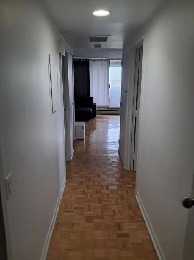 Cession de bail - 3 ½ à  5333  rue Sherbrooke Est H1T4B6 -1600$/ Image# 1