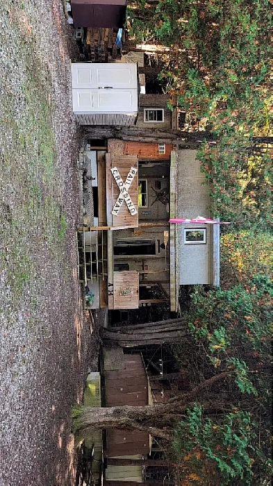 Cabin By The Maitland River Image# 5