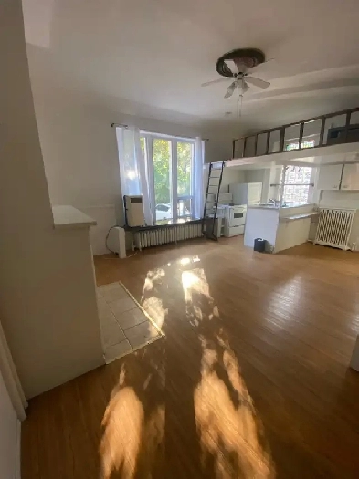 Spacious Bachelor Loft in Durand Image# 1