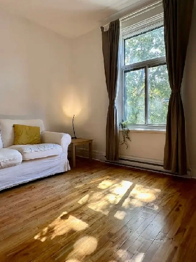 2 mois gratuit  - 4 1/2 rénové / 2 bedroom brand new - Verdun Image# 1