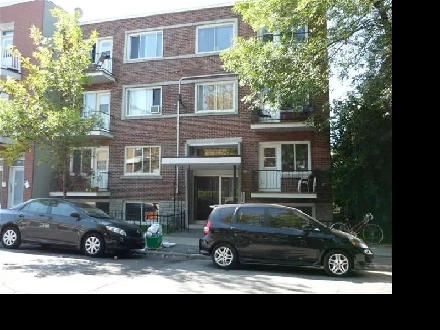 4 1/2 à Rosemont - 1er novembre Image# 1