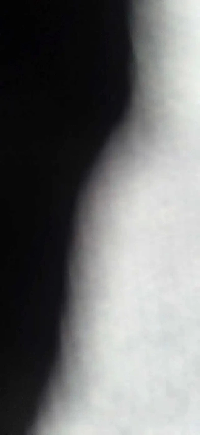 room available for rent near fairview mall kitchener Image# 1