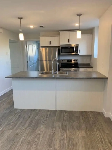 Two Bedroom Basement Suite Image# 1