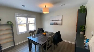 Rooms for Rent Image# 7