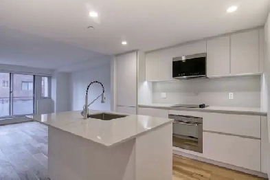 renovated one bedroom apartment near McGill campus - ID 4173 Image# 1