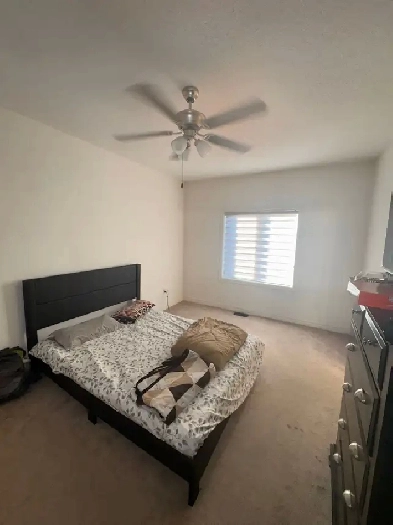 Spacious Furnished Room with Attached Washroom Image# 1