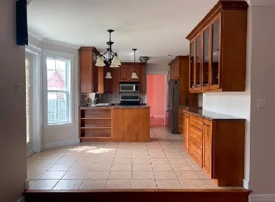 16 Tully Pl, Gander Image# 6