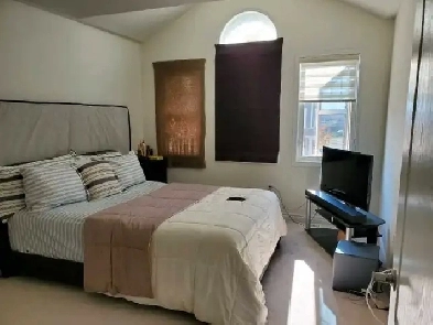 lrg room for 1 or 2 person brampton available now Image# 1