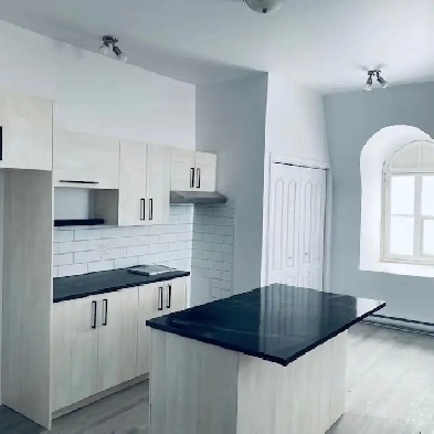 logement 3 1/2 Image# 9