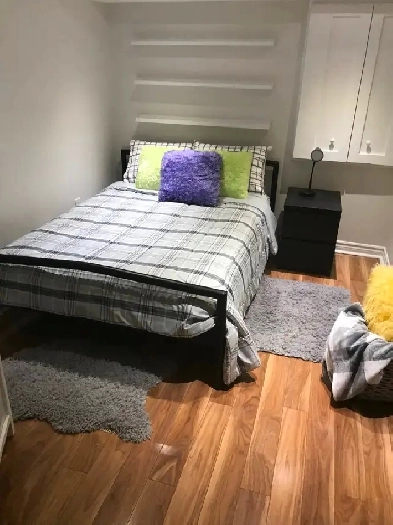 Rental of walkout batchelor basement apartment Image# 1