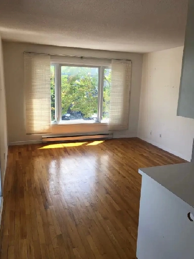 1 Bedroom in Westboro (6-month lease) Image# 4