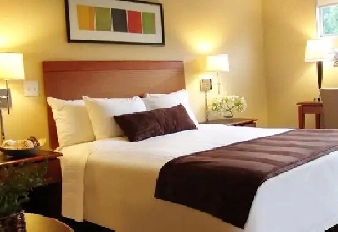 Rooms N private rooms n washroom n  Basement everything inside Image# 1