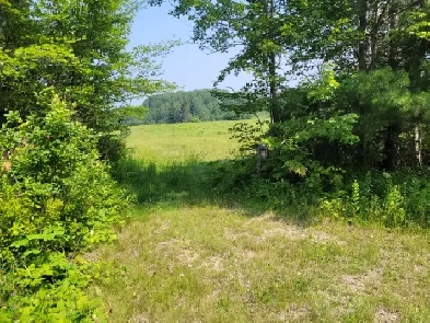 VACANT LAND - PT LT 12 &13 CON 12, VAUGHAN RD, MATTAWA, ON Image# 5